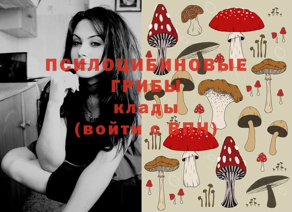 кокаин премиум Лиски