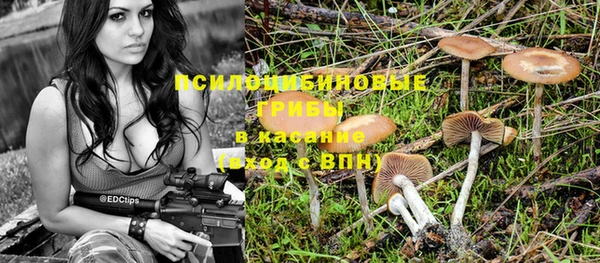 МДМА Лагань